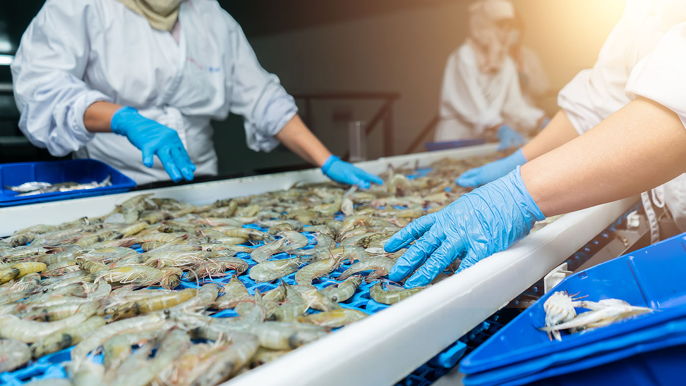 Seafood inspecting team at work