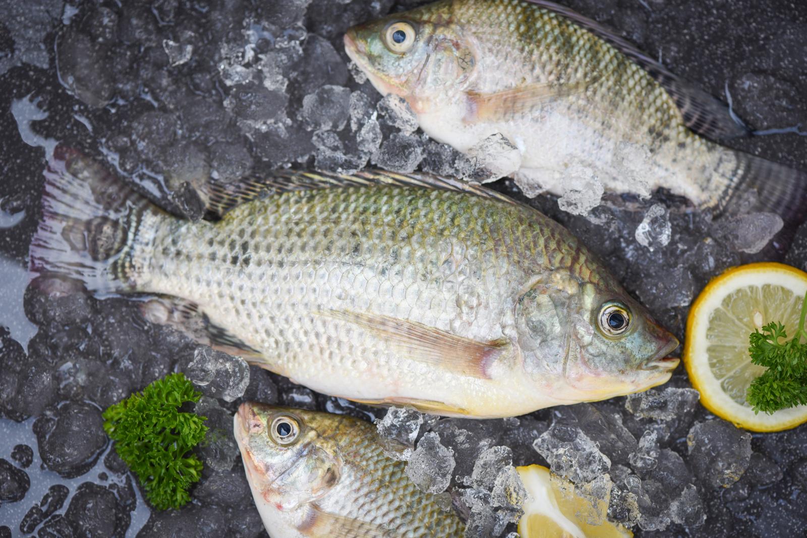 Whole-Round-Tilapia